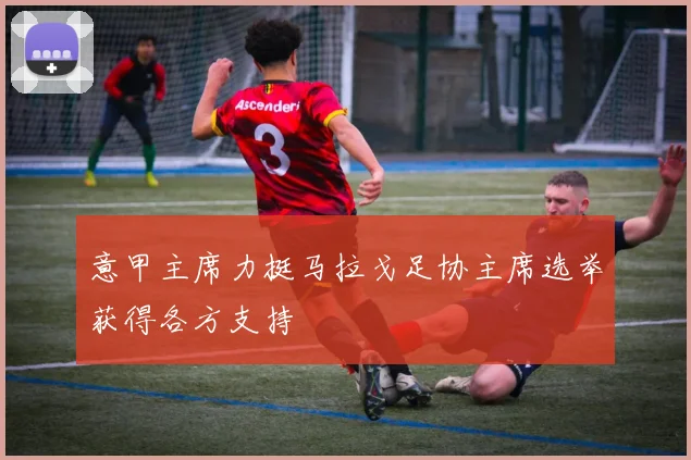 意甲主席力挺马拉戈足协主席选举获得各方支持