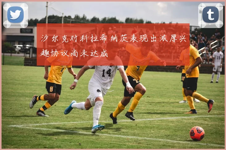沙尔克对科拉希纳茨表现出浓厚兴趣协议尚未达成